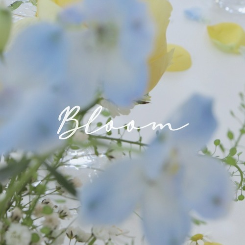 Bloom Lookbook